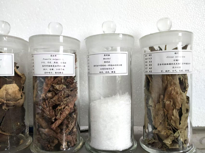 生药标本