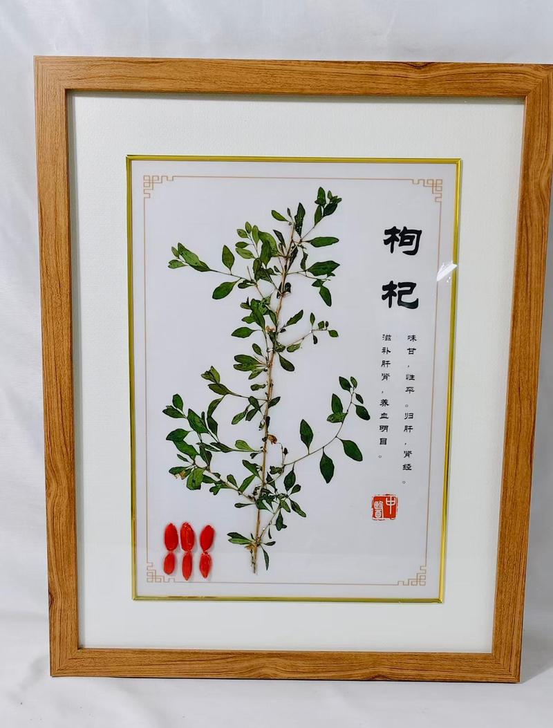 枸杞