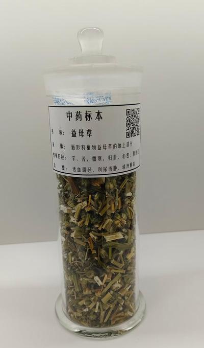 生药标本15