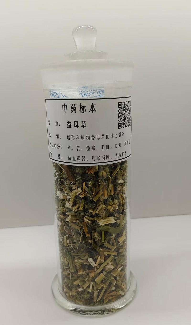 生药标本15