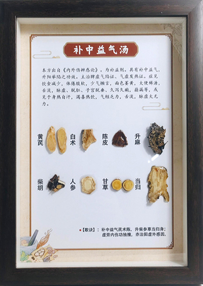 方剂标本