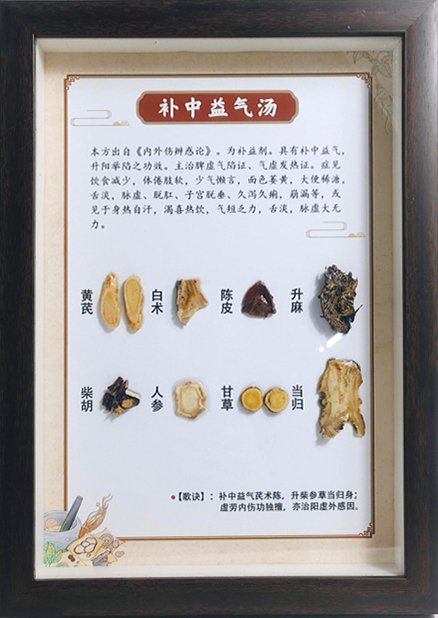 方剂标本