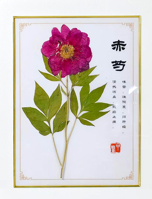 赤芍