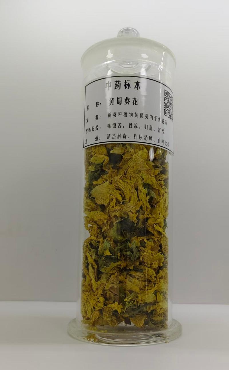 生药标本10