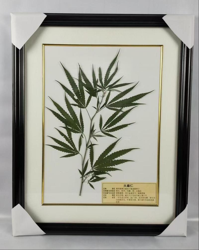 火麻仁