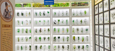 展区