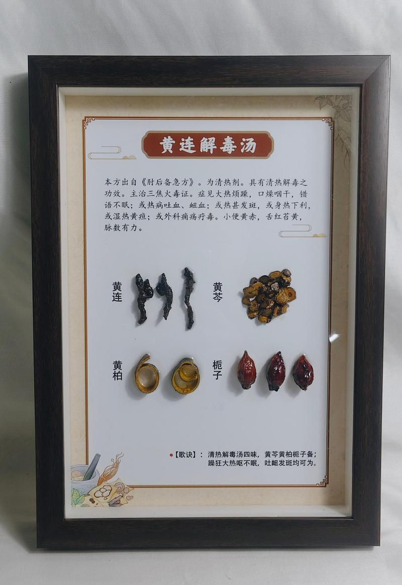方剂标本8
