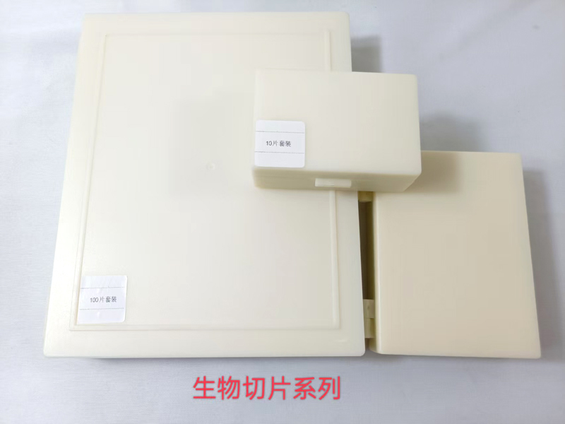 生物切片系列