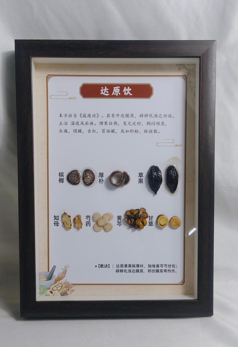 方剂标本7