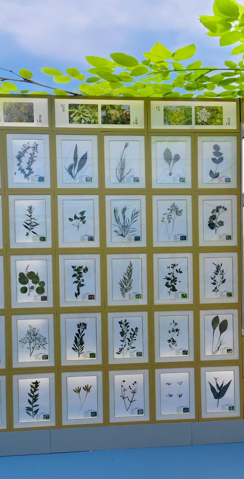 展区一角