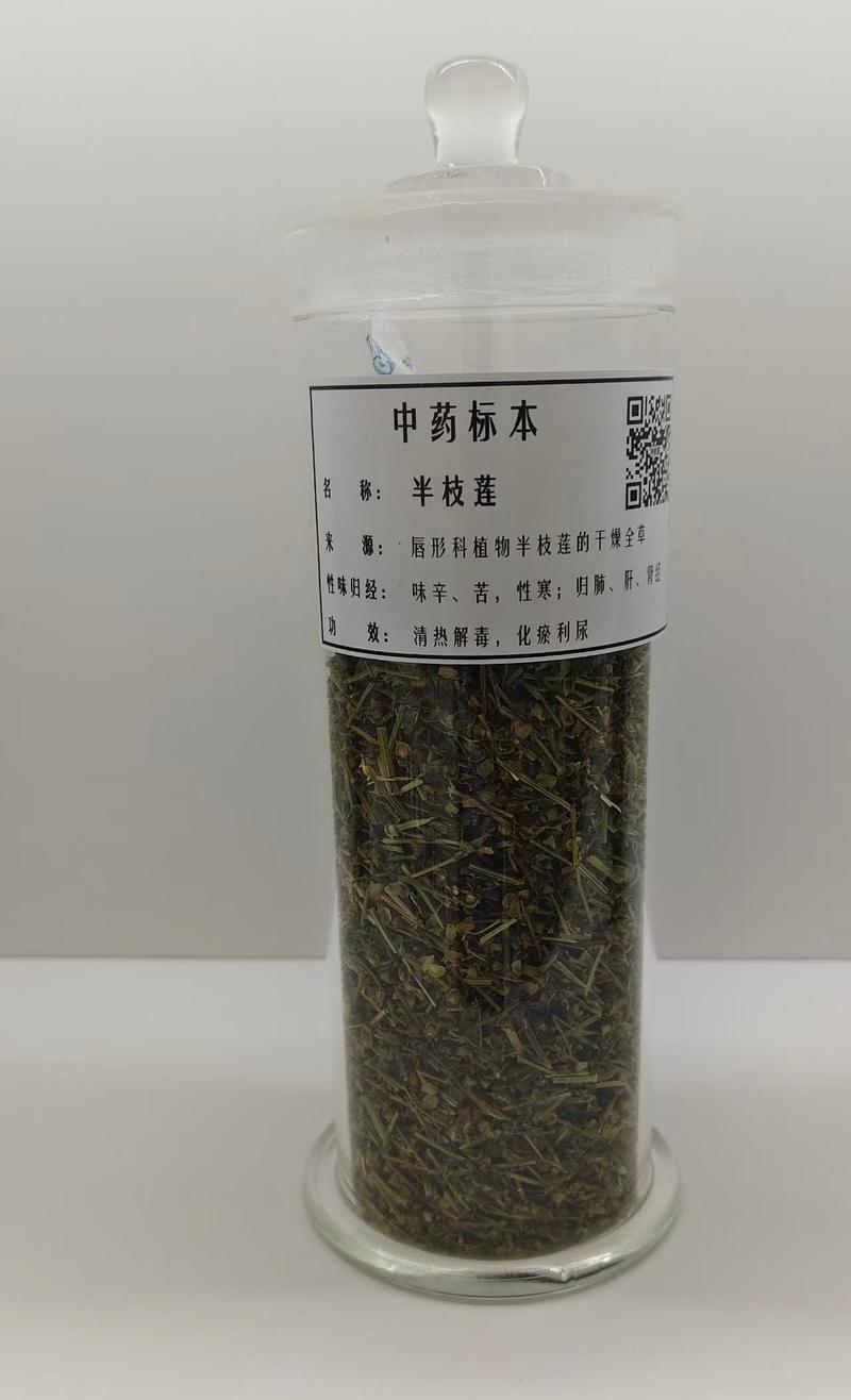 生药标本8
