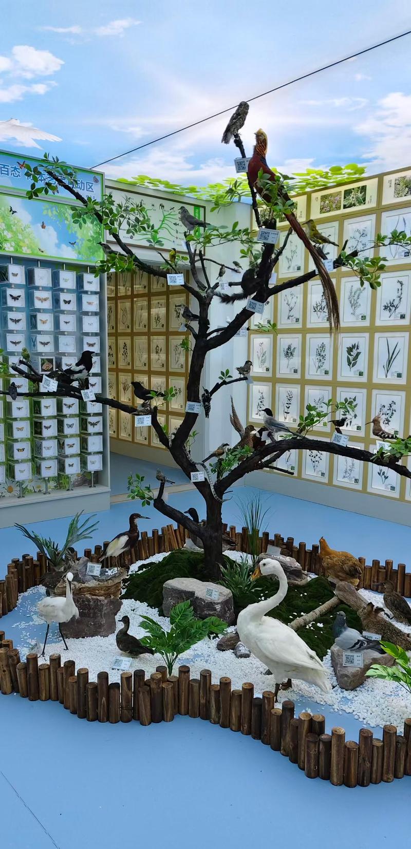展区一角