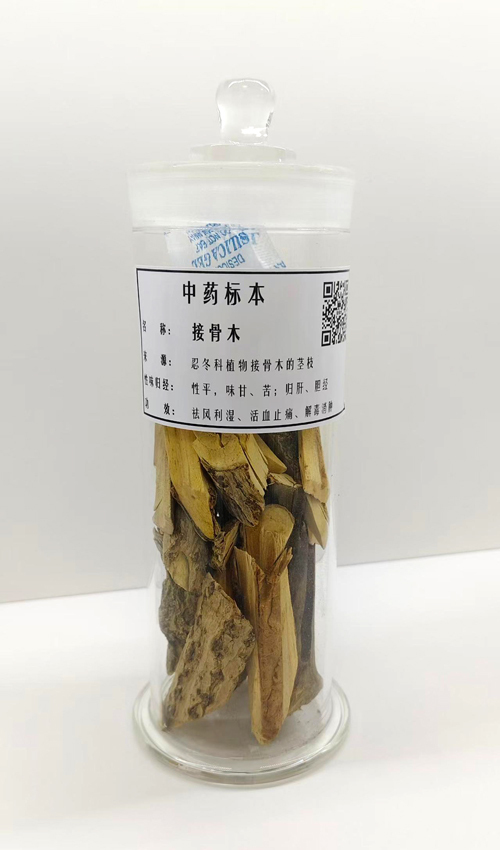 生药标本