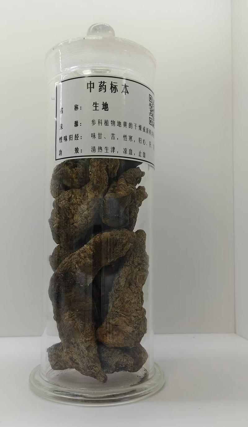 生药标本9