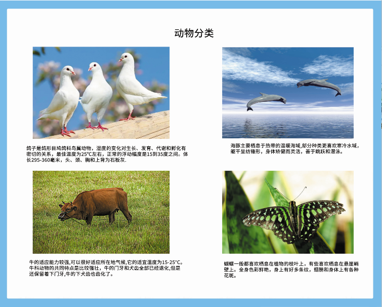 生物挂图