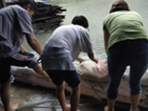 天灾无情人有情 ——中耐人共同抵御洪灾纪实