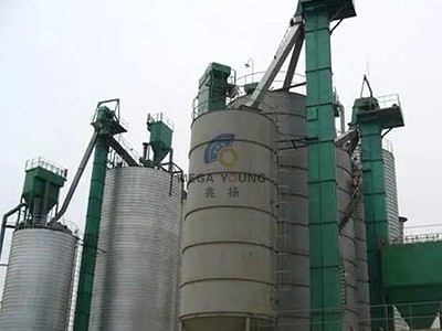 Bucket Elevator