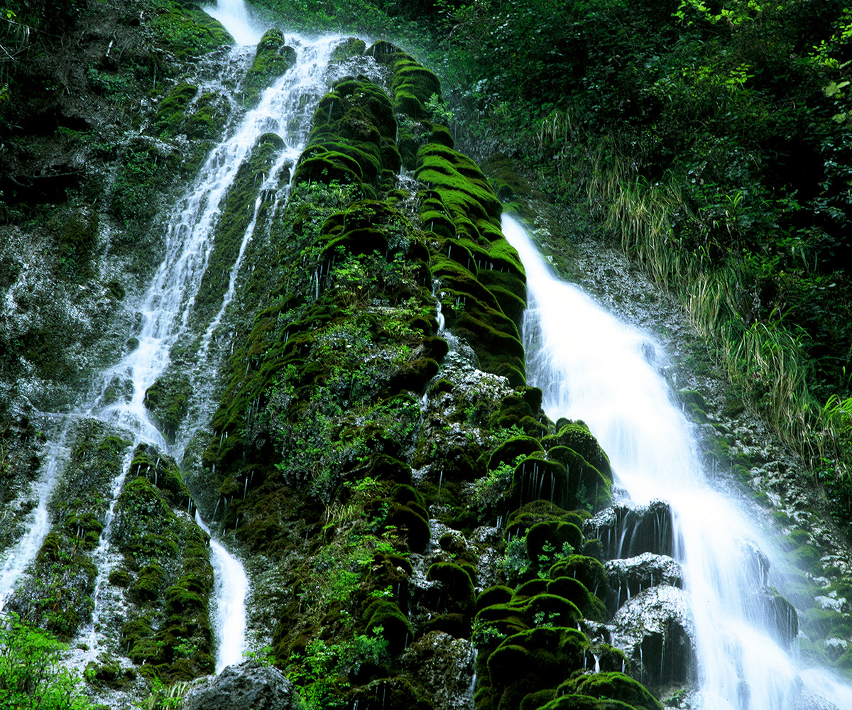 青苔瀑