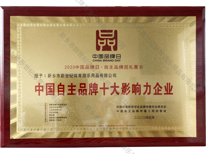 中国自主品牌十大影响力企业