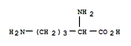 cb3042f9-5af6-4699-80a9-d6122c5c95f4.png