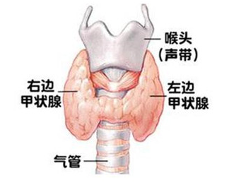 河南甲状腺肿瘤医院介绍肿瘤的严重性