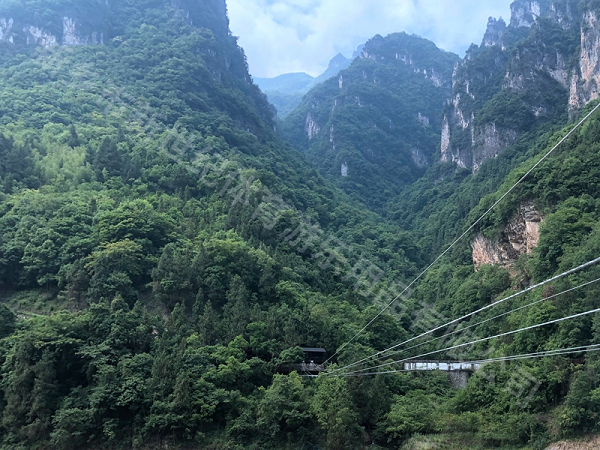 湖北“朝天吼”滑索