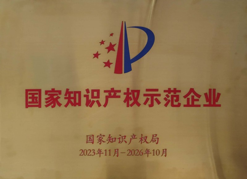 国家知识产权示范企业