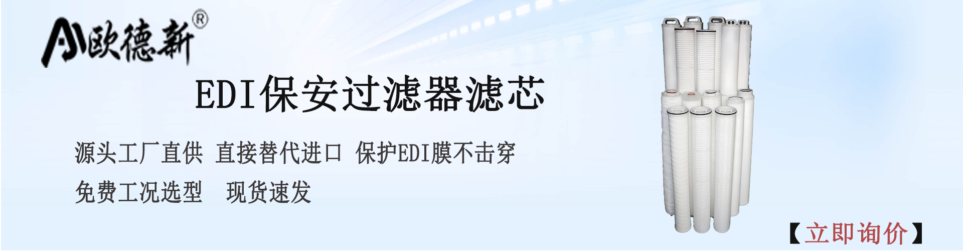 edi保安过滤器滤芯 edi保安过滤器滤芯.jpg