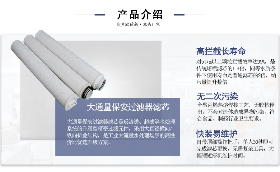 大通量保安滤芯首图 大通量保安滤芯首图.jpg
